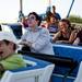 Jaycees Summer Carnival patrons scream on the Himalaya ride on Sunday, June 30. Daniel Brenner I AnnArbor.com